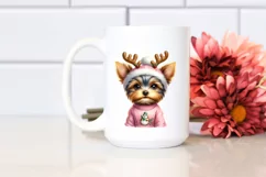 Yorkshire Terrier with Crazy Haircut, Transparent PNG Product Image 2