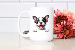 Funny Baby Boston Terrier Eyes Smiling | Clipart Product Image 2