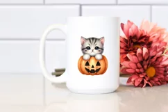 Baby Kitten Popping Out PNG Product Image 2