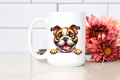 Crazy Looking Bulldog with Popping Eyes | Sublimation | Product Image 2