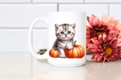 Baby Kitten with Pumpkin, PNG Product Image 2