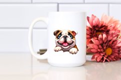 Crazy Looking Bulldog Furr Enthusiastic | Clipart Product Image 2