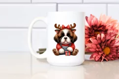 Saint Bernard in Winter, Transparent PNG Product Image 2