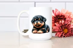Expressive Baby Rottweiler, Transparent PNG Product Image 2