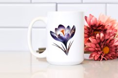 Detailed Shiny Crocus with Metallic Insertions | Clipart Product Image 2