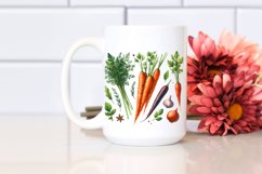 Watercolor Carrot Clipart Product Image 2