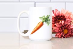 Watercolor Carrot Clipart Product Image 2