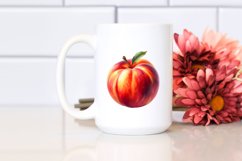 Watercolor Nectarine | Sublimation Clipart Product Image 2