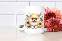 Watercolor Cute Baby Pomeranian | Clipart Product Image 2