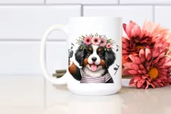 Bernese Mountain Dog Big Eyes | Wrestling Product Image 2