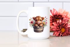 Cute Baby Highland Cow from Wood Bucket, PNG Product Image 2