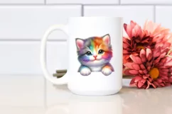 Colorful Baby Kitten Over Paper | Sublimation | Clipart Product Image 2