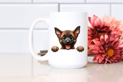 Funny Crazy Looking Baby Malinois | Sublimation | Clipart Product Image 2