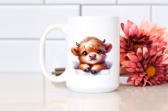 Cute Baby Highland Cow Watercolor Clipart Product Image 2
