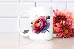 Shiny Watercolor Ranunculus | Clipart Product Image 2