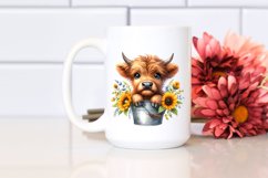 Cute Baby Highland Cow with Sunflower Bucket, PNG Product Image 2