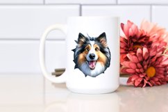 Crazy Looking Collie Product Image 2