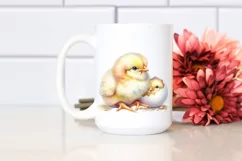 Cute Baby Chicken High Quality PNG Product Image 2