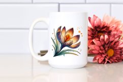 Detailed Crocus Clipart Product Image 2