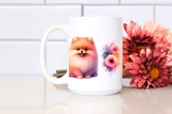 Vibrant Pomeranian Clipart Product Image 2
