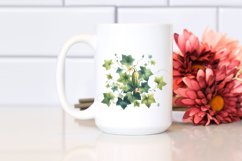 Watercolor Ivy Gourd | Sublimation | Clipart Product Image 2
