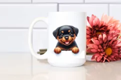 Funny Baby Rottweiler | Sublimation | Clipart Product Image 2