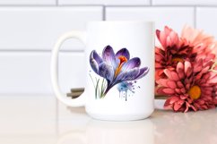 Detailed Shiny Crocus | Sublimation | Clipart Product Image 2
