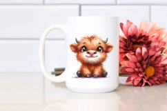 highland cow baby face, Transparent PNG Product Image 2