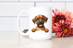 Baby Rhodesian Ridgeback Watercolor Cute Clipart Product Image 2