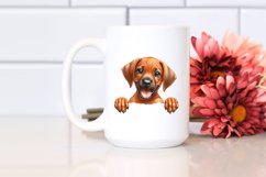 Funny Smiling Baby Rhodesian Ridgeback Watercolor Clipart Product Image 2