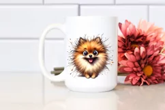 Watercolor Enthusiastic Pomeranian Cute Clipart Product Image 2