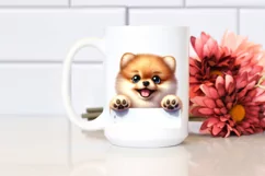 Funny Crazy Baby Pomeranian Smiling | Sublimation Clipart Product Image 2