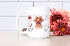 Cute Vizsla Watercolor Clipart Product Image 2
