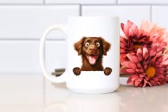 Funny Chesapeake Retriever Watercolor | Sublimation | Product Image 2