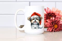 Expressive Baby Havanese PNG Product Image 2