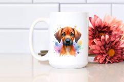 Watercolor Cute Colorful Rhodesian Ridgeback Clipart Product Image 2