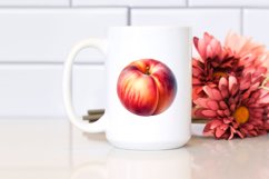 Nectarine Sublimation Clipart Product Image 2