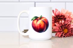 Nectarine Sublimation Clipart Product Image 2