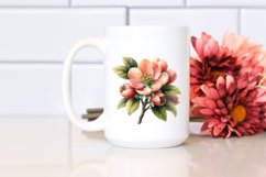 Watercolor Quince Clipart Product Image 2