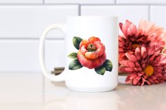 Watercolor Quince Clipart Product Image 2