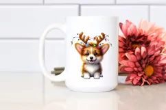 Vibrant Pembroke Welsh Corgi, High-Res PNG Product Image 2