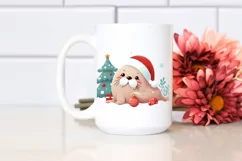 Cute Winter Baby Walrus PNG Product Image 2