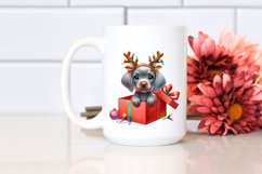 Extremely Expressive Baby Weimaraner PNG Product Image 2