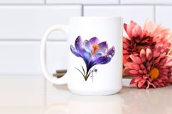 Fresh Crocus Clipart Set Product Image 2