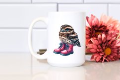 Vibrant Baby Nightjar Boots Clipart Product Image 2