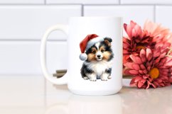 Expressive Shetland Sheepdog PNG Product Image 2