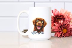 Crazy Looking Chesapeake Bay Retriever | Clipart Product Image 2