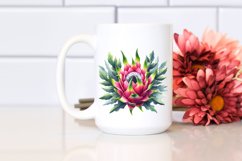 Dragonfruit | Clipart Product Image 2