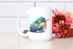 Colorful Baby Hummingbird Sleeping Clipart Product Image 2