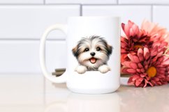 Funny Baby Havanese Over White Paper Product Image 2